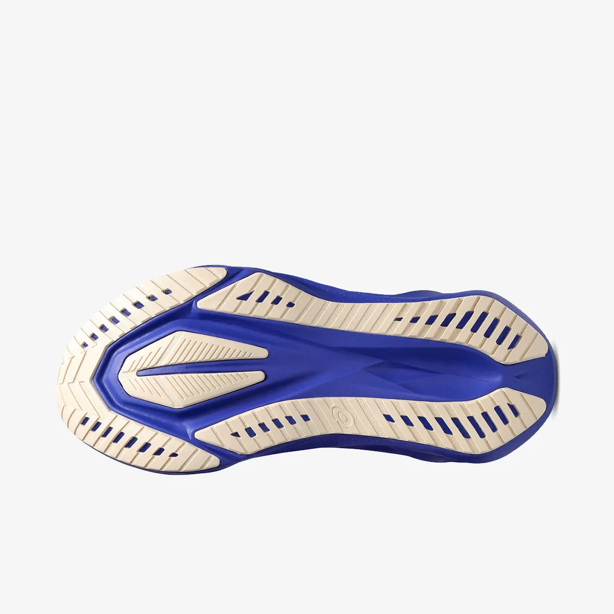 Asics Patike Novablast 5 