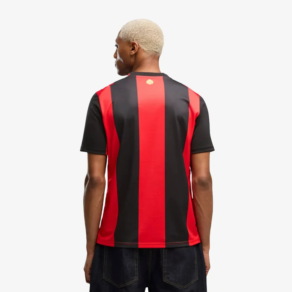 Puma Dres ACM Home Jersey Replica