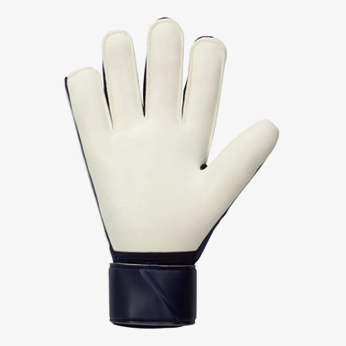 Nike Golmanske rukavice NK GK MATCH - HO23 