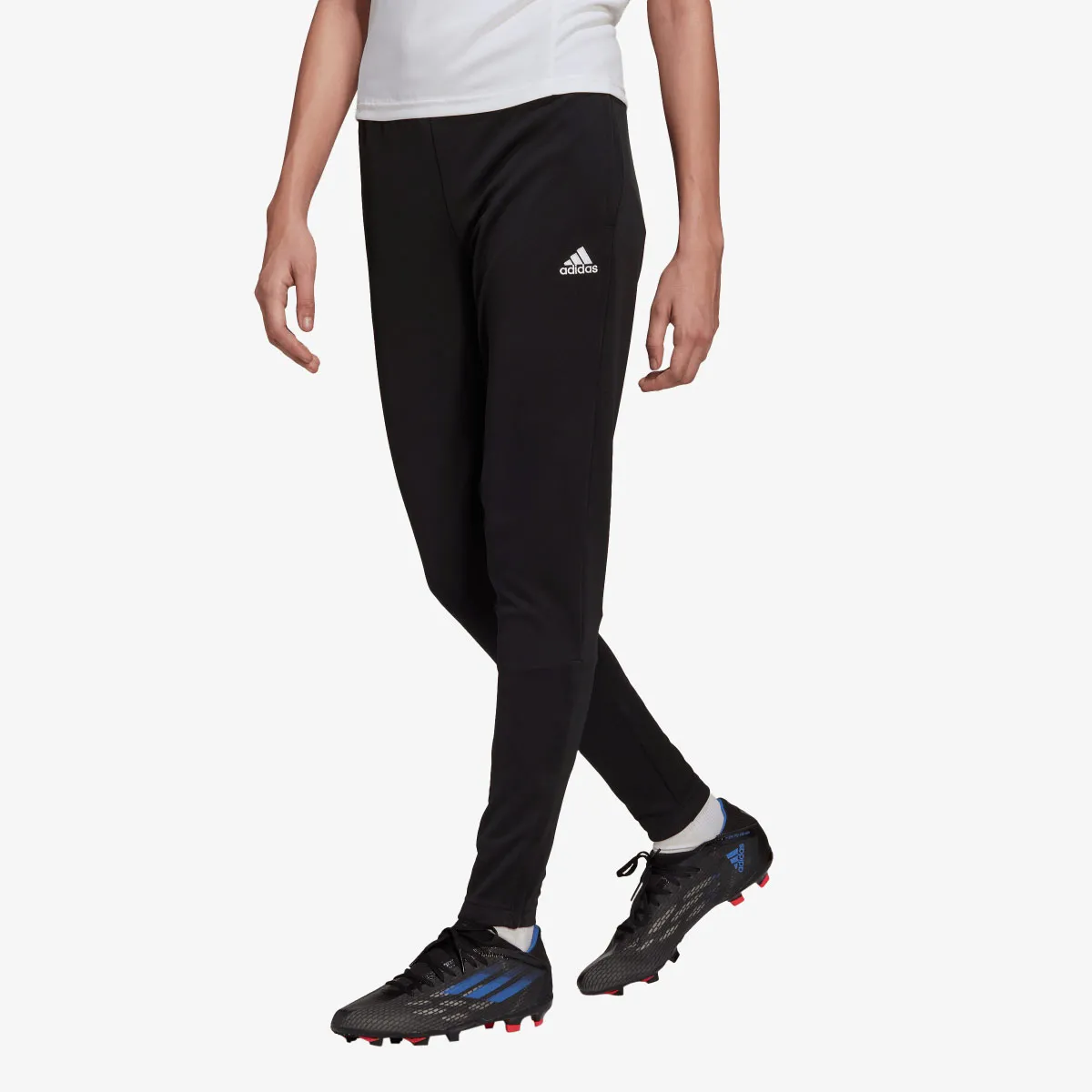 adidas Donji dio trenerke ENT22 TR PNT W