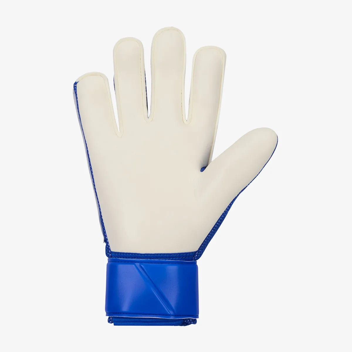 Nike Golmanske rukavice NK GK MATCH - HO24 