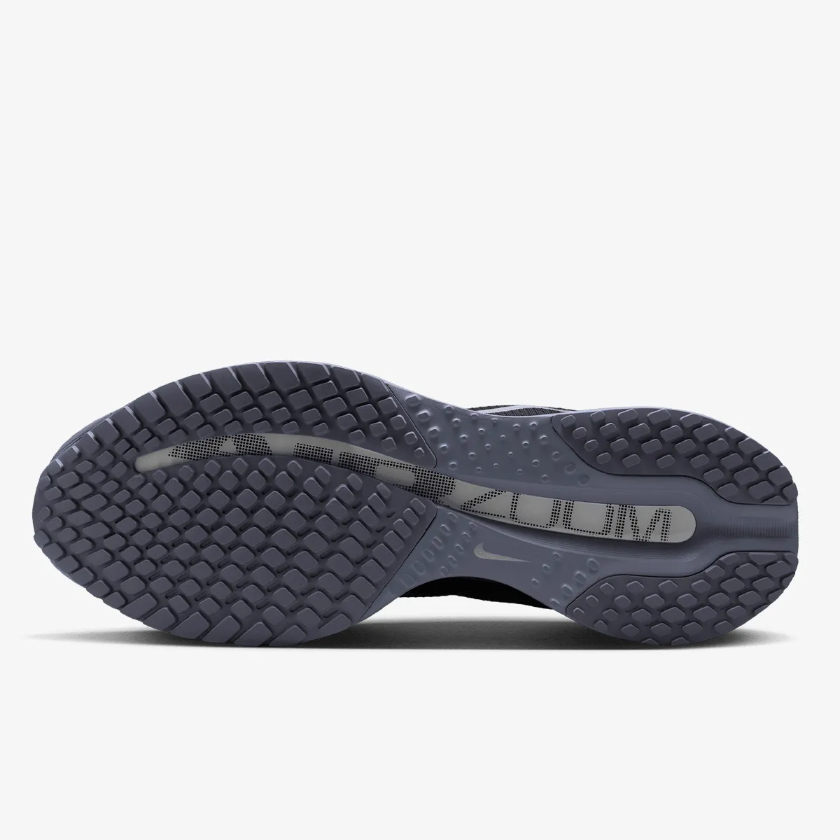Nike Patike NIKE PEGASUS PREMIUM