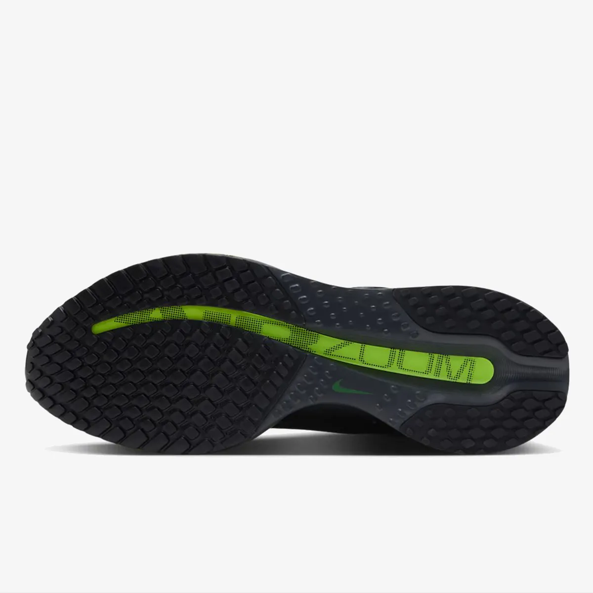 Nike Patike NIKE PEGASUS PREMIUM
