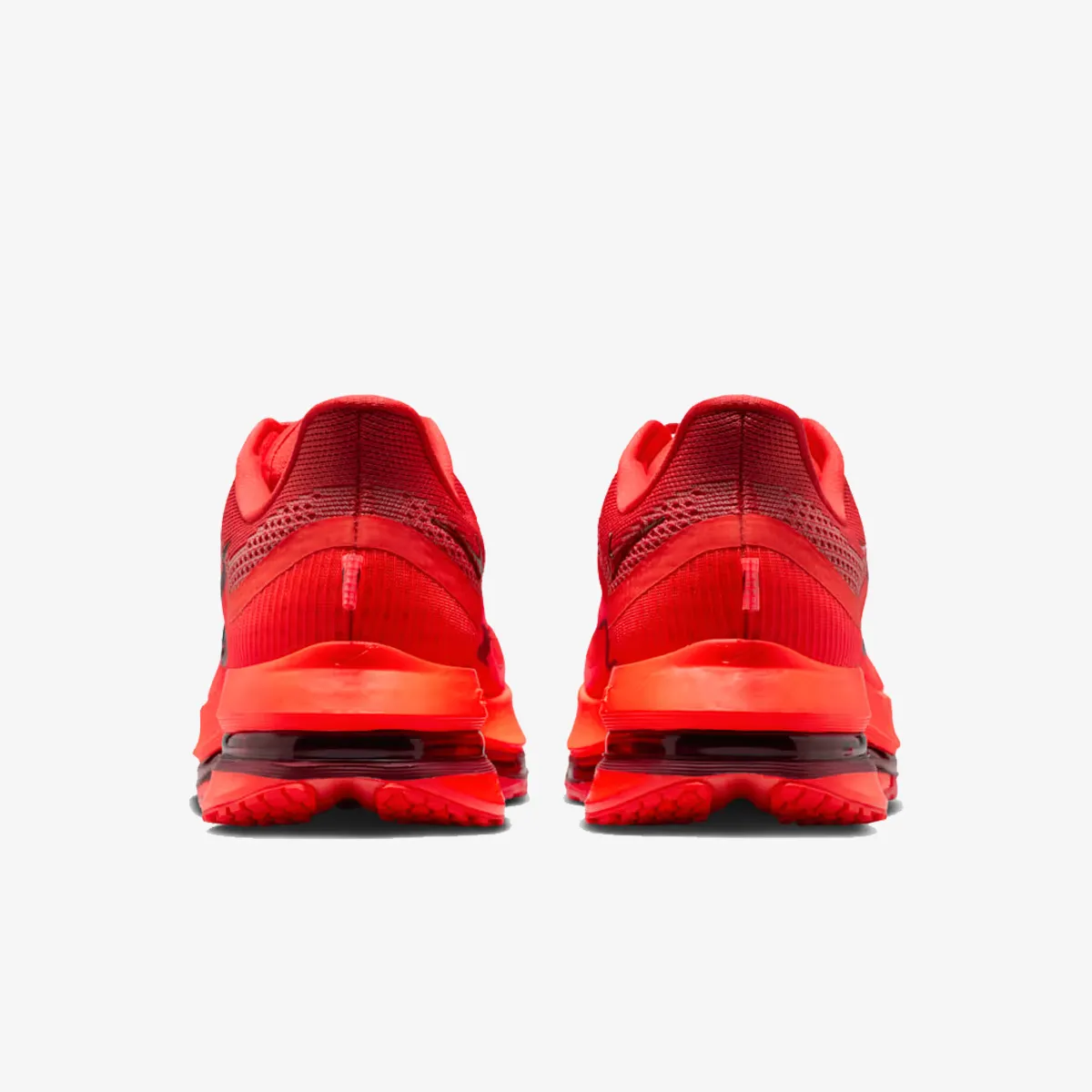 Nike Patike NIKE PEGASUS PREMIUM