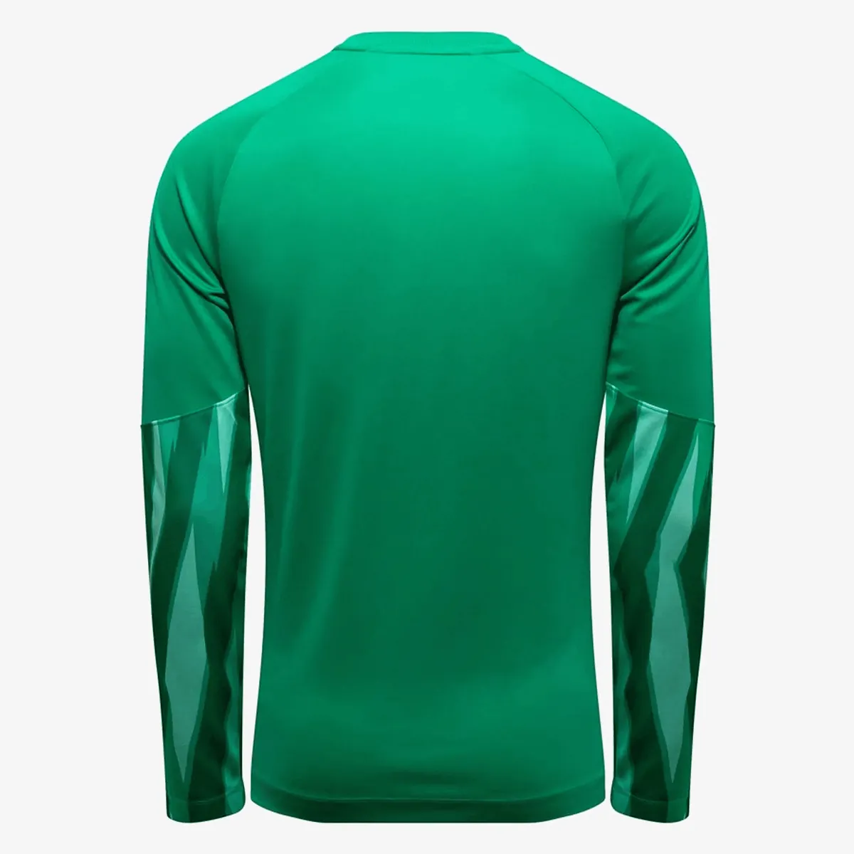 Nike Majica dugih rukava M NK DF PARK V GK JSY LS