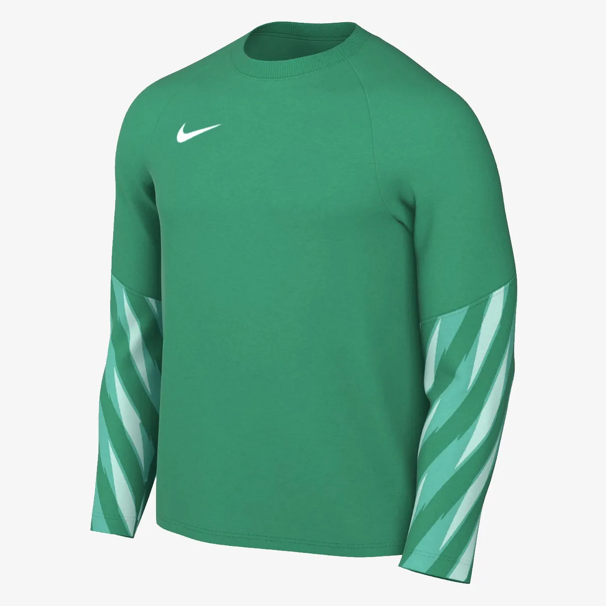 Nike Majica dugih rukava M NK DF PARK V GK JSY LS