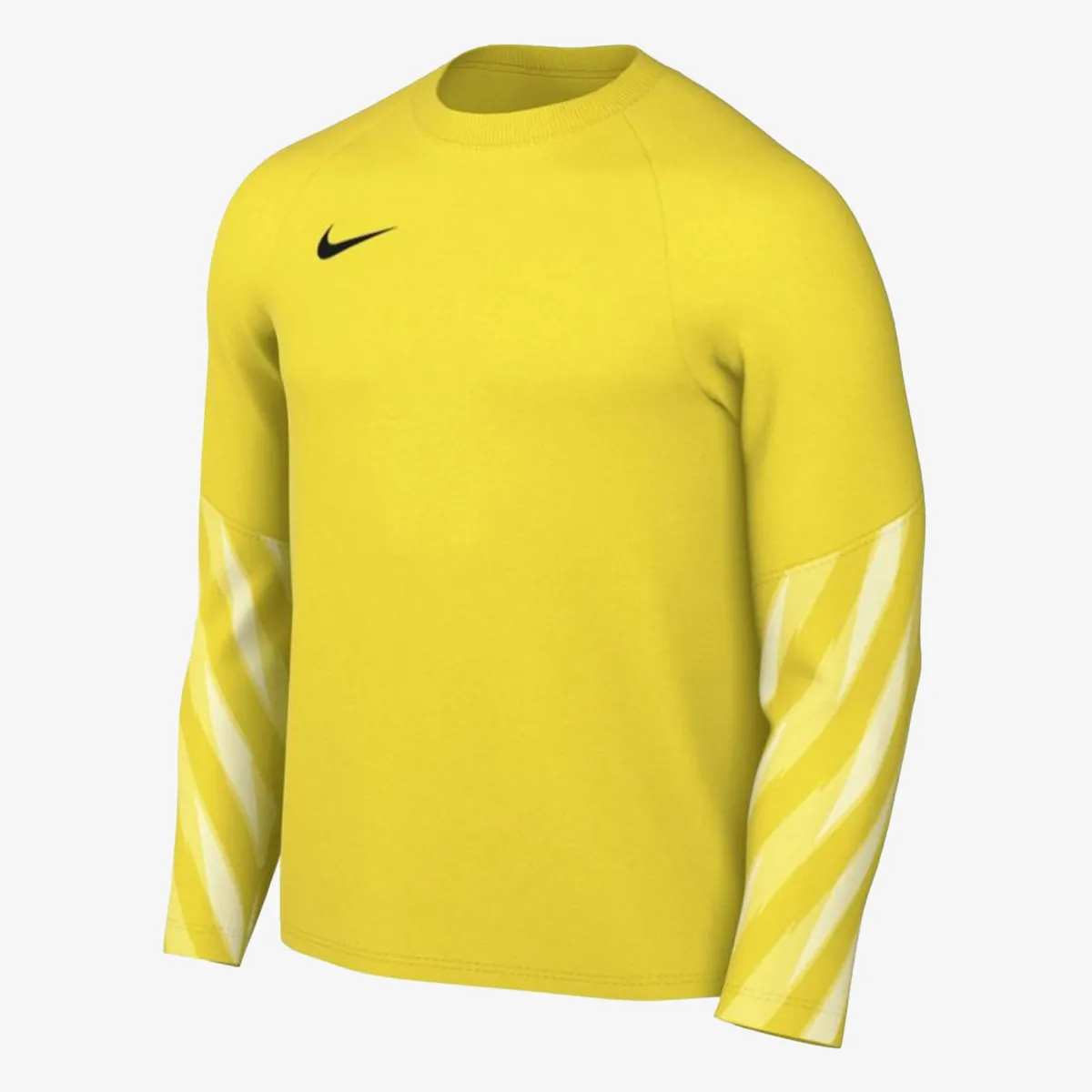 Nike Majica dugih rukava M NK DF PARK V GK JSY LS