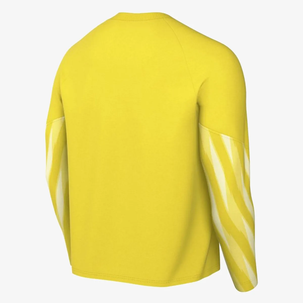 Nike Majica dugih rukava M NK DF PARK V GK JSY LS 