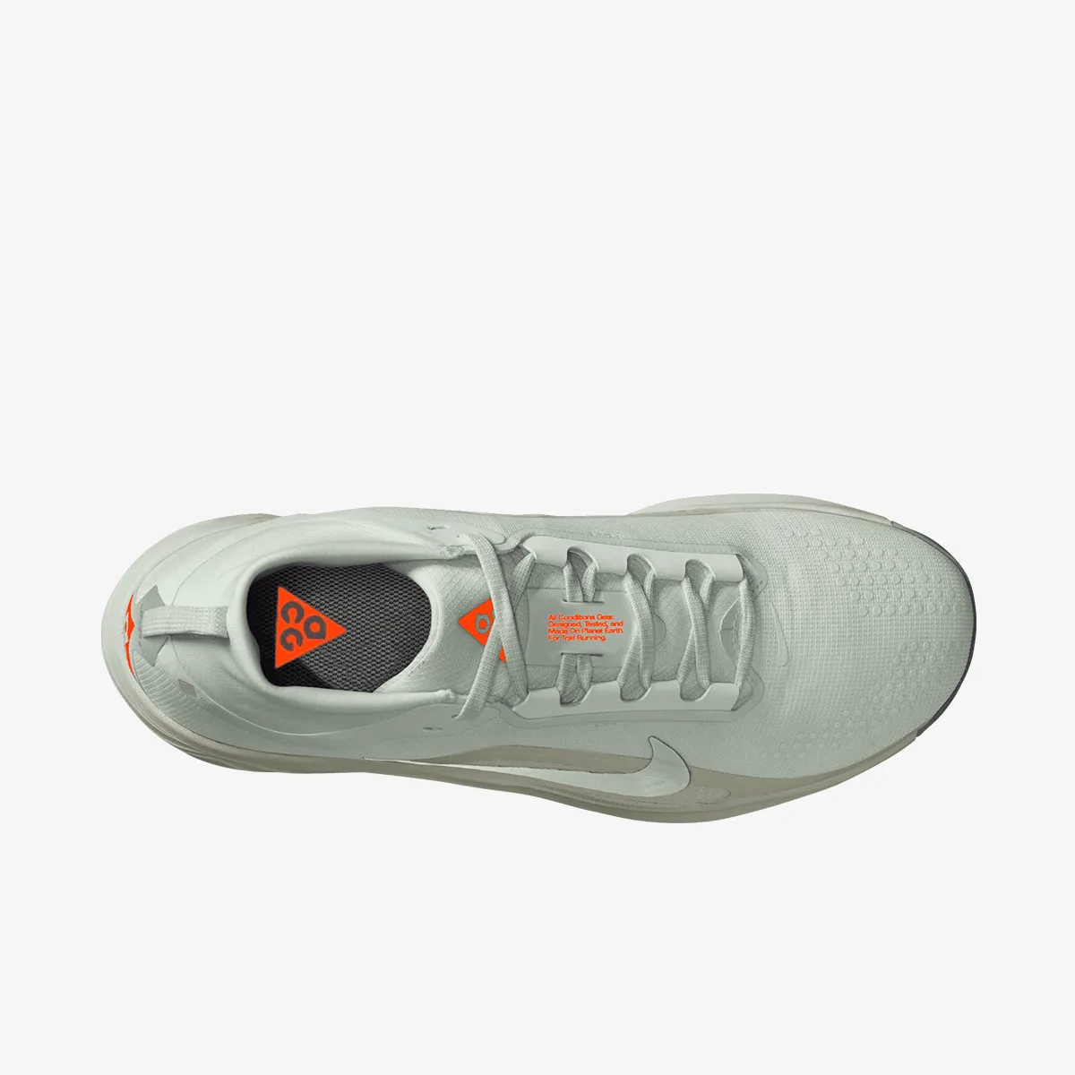 Nike Patike NIKE ACG PEGASUS TRAIL GTX 
