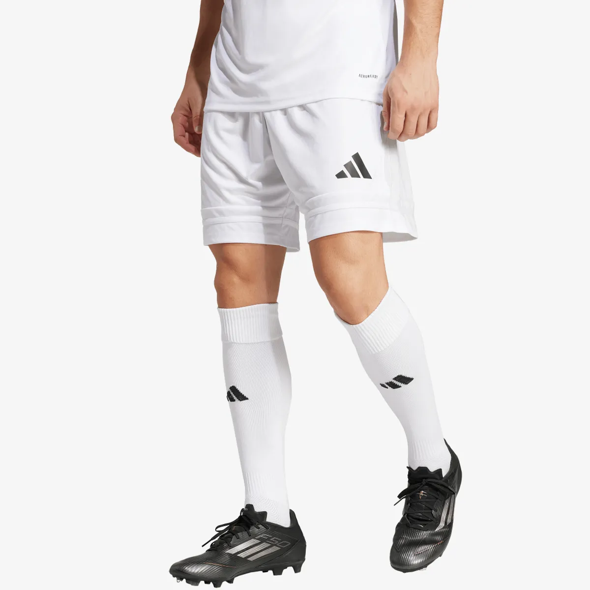 adidas Šorc SQUA25 SHO M