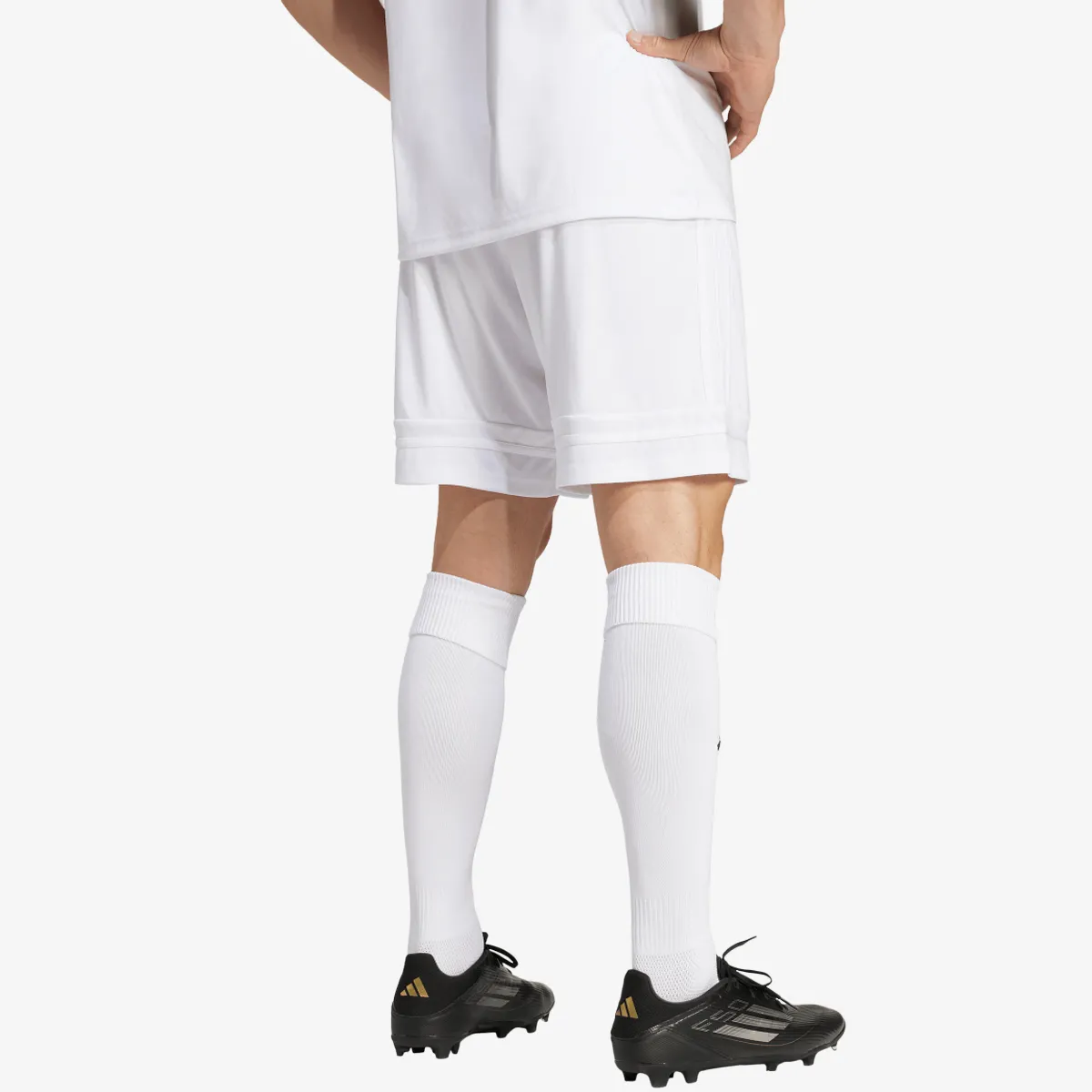 adidas Šorc SQUA25 SHO M