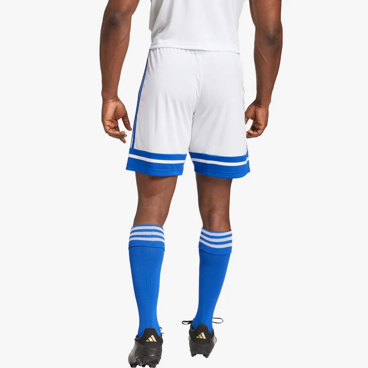 adidas Šorc SQUA25 SHO M
