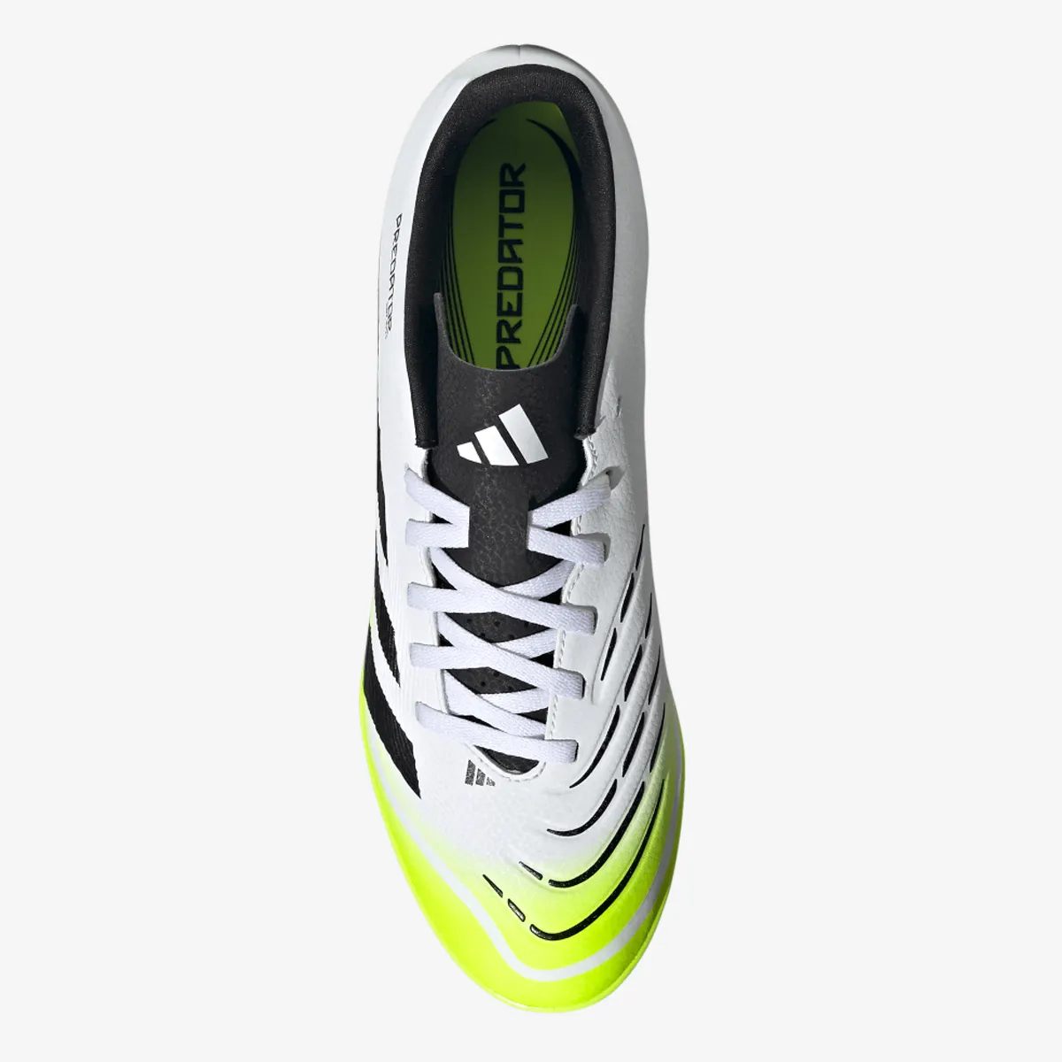 adidas Patike PREDATOR CLUB TF