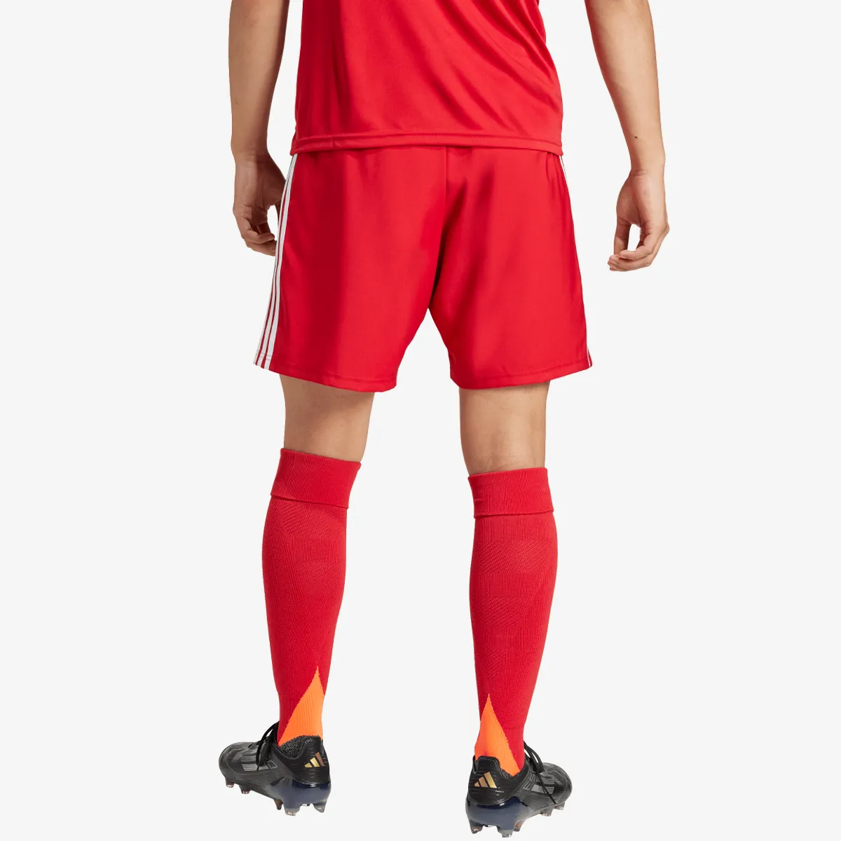 adidas Šorc TASTIGO25 SHO M 