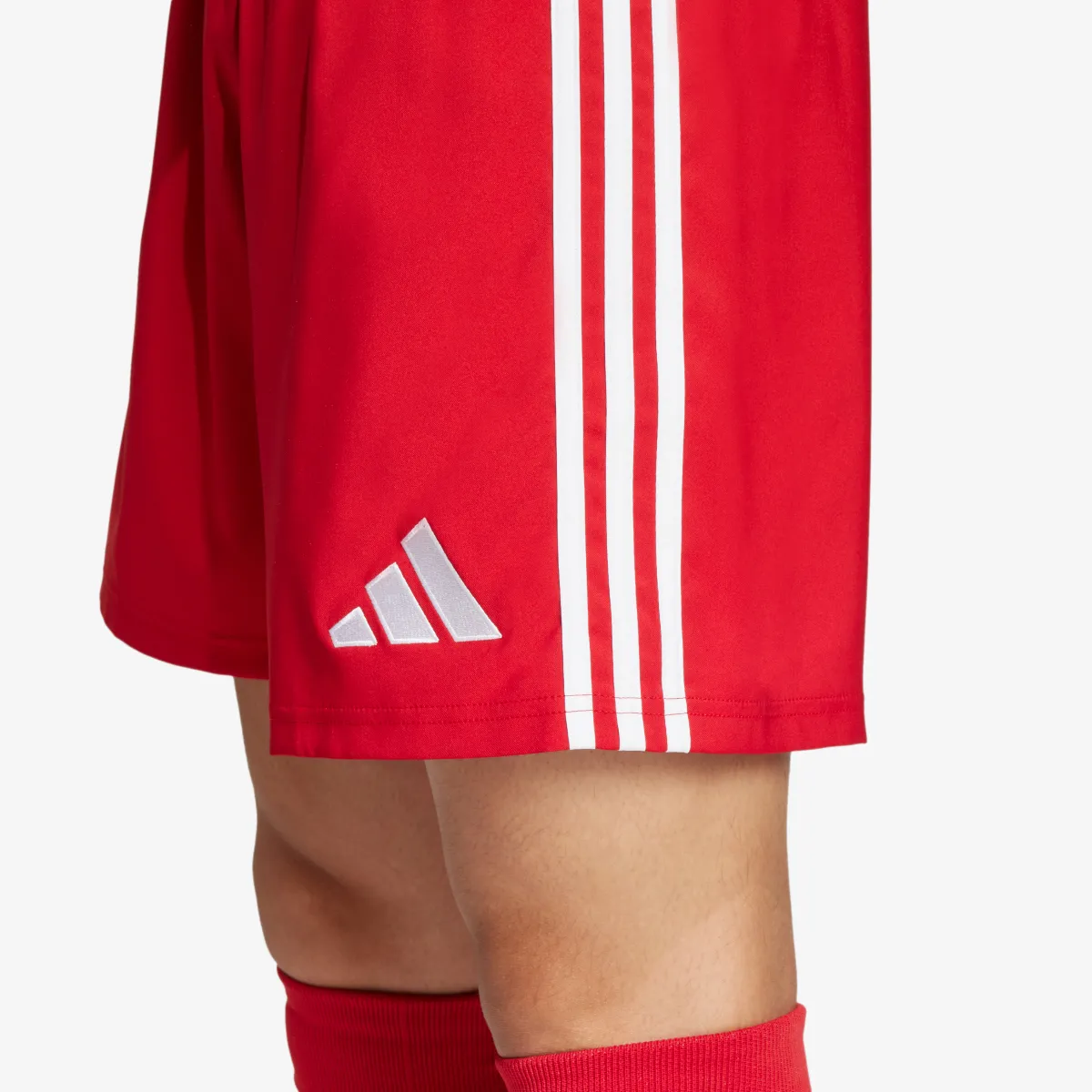 adidas Šorc TASTIGO25 SHO M 
