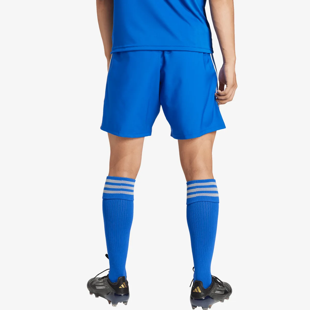 adidas Šorc TASTIGO25 SHO M 