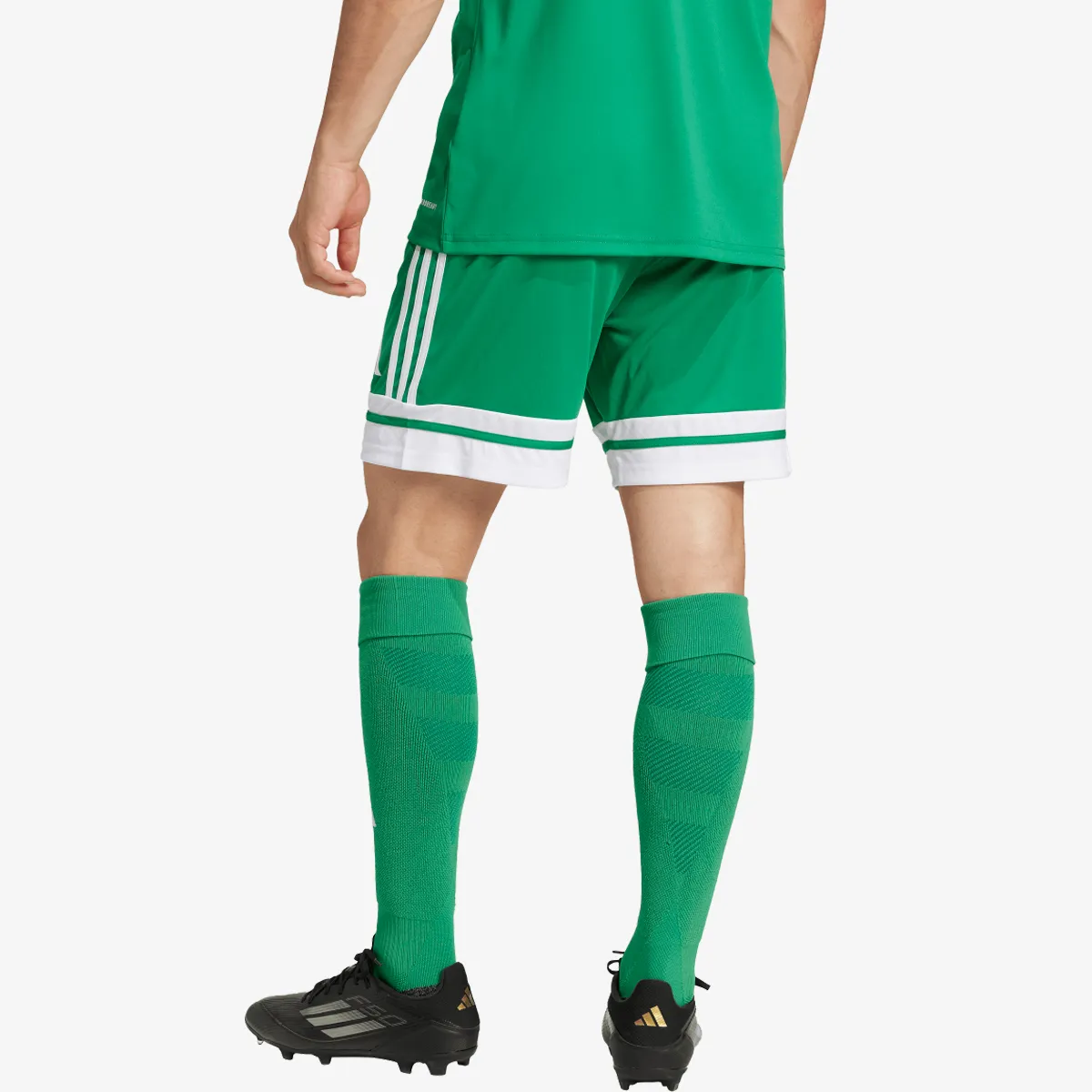 adidas Šorc SQUA25 SHO M 