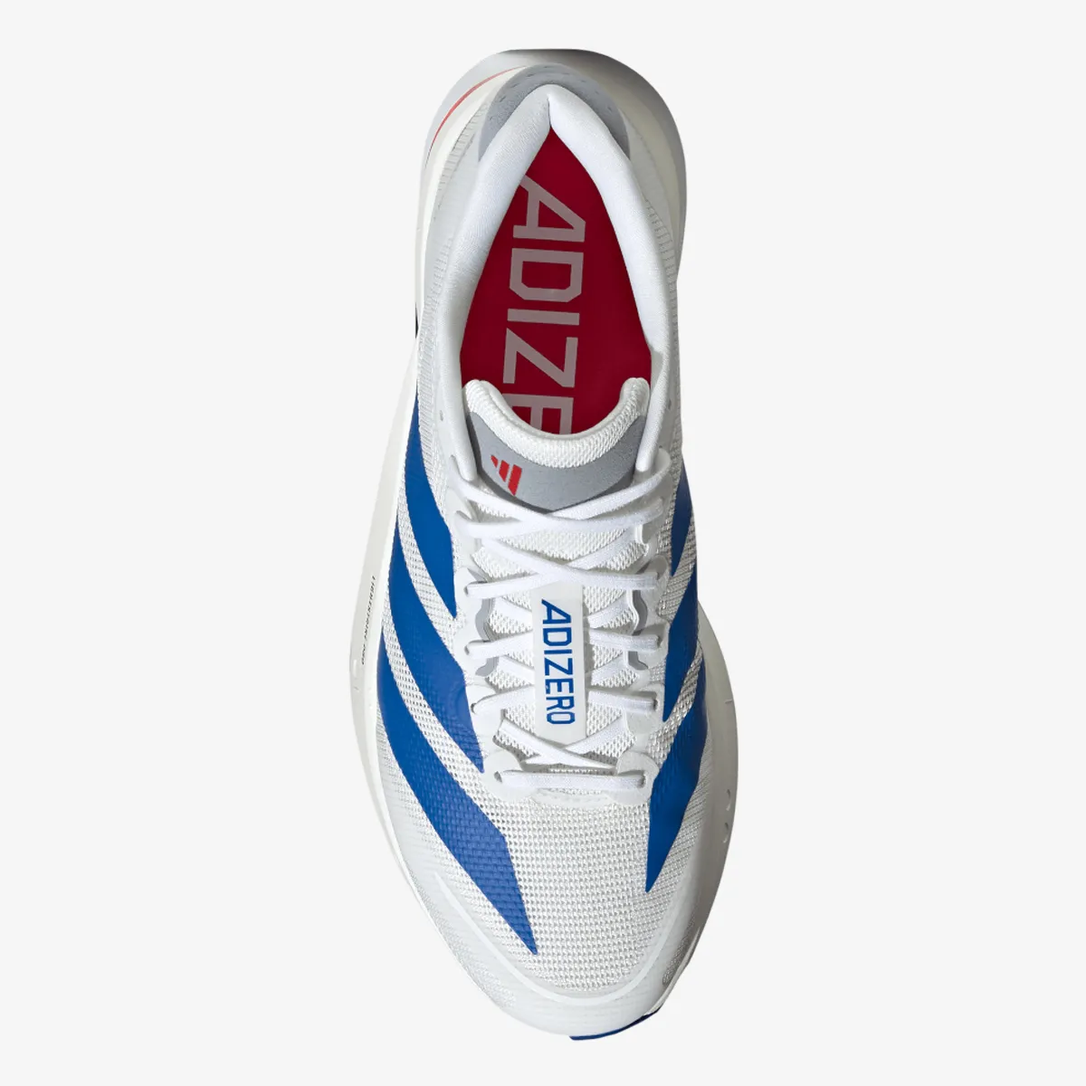 adidas Patike ADIZERO BOSTON 13 M 