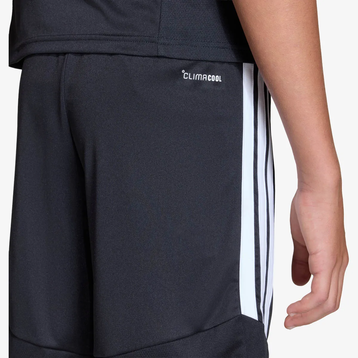 adidas Šorc TIRO26L TRSHOY