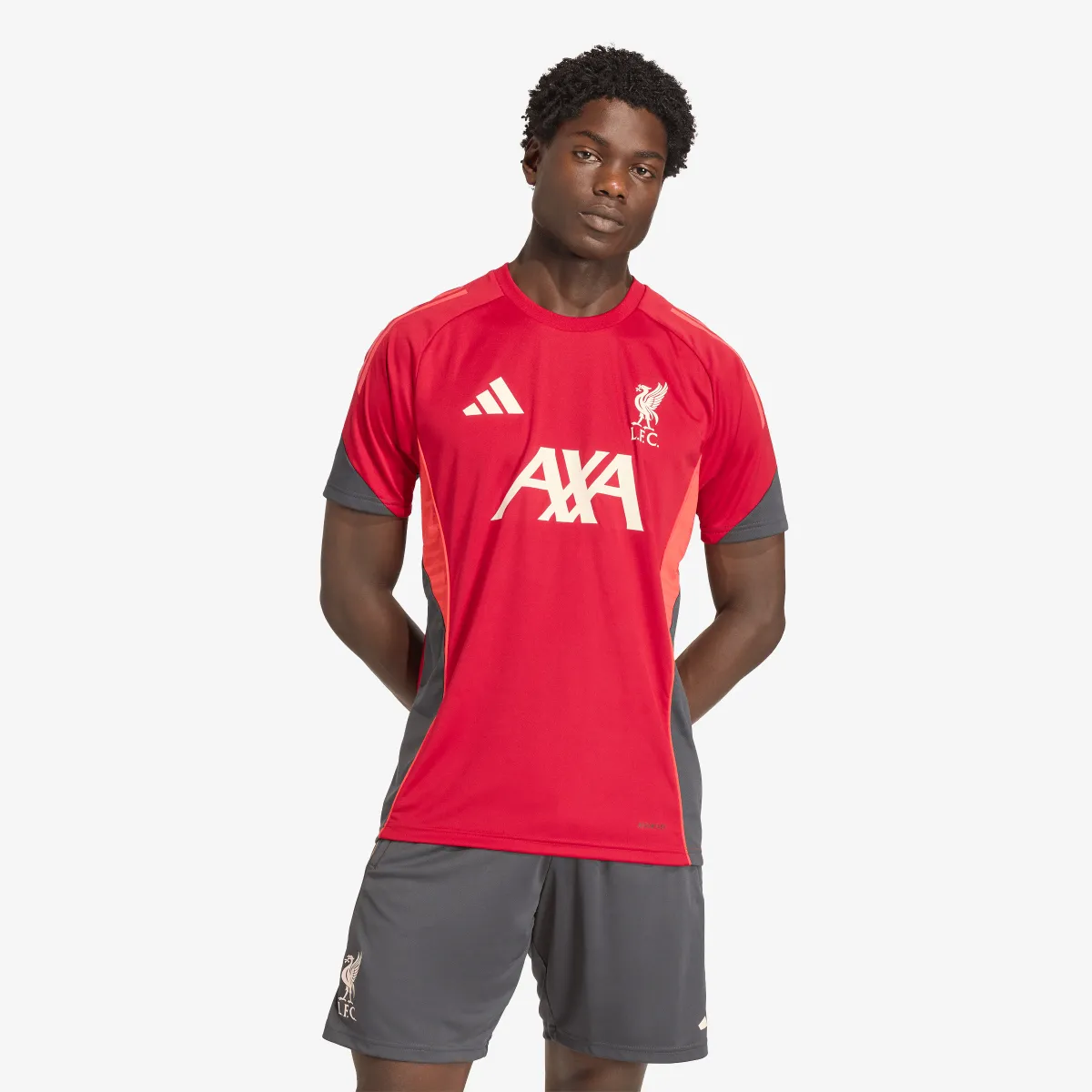 adidas Dres LFC TR JSY