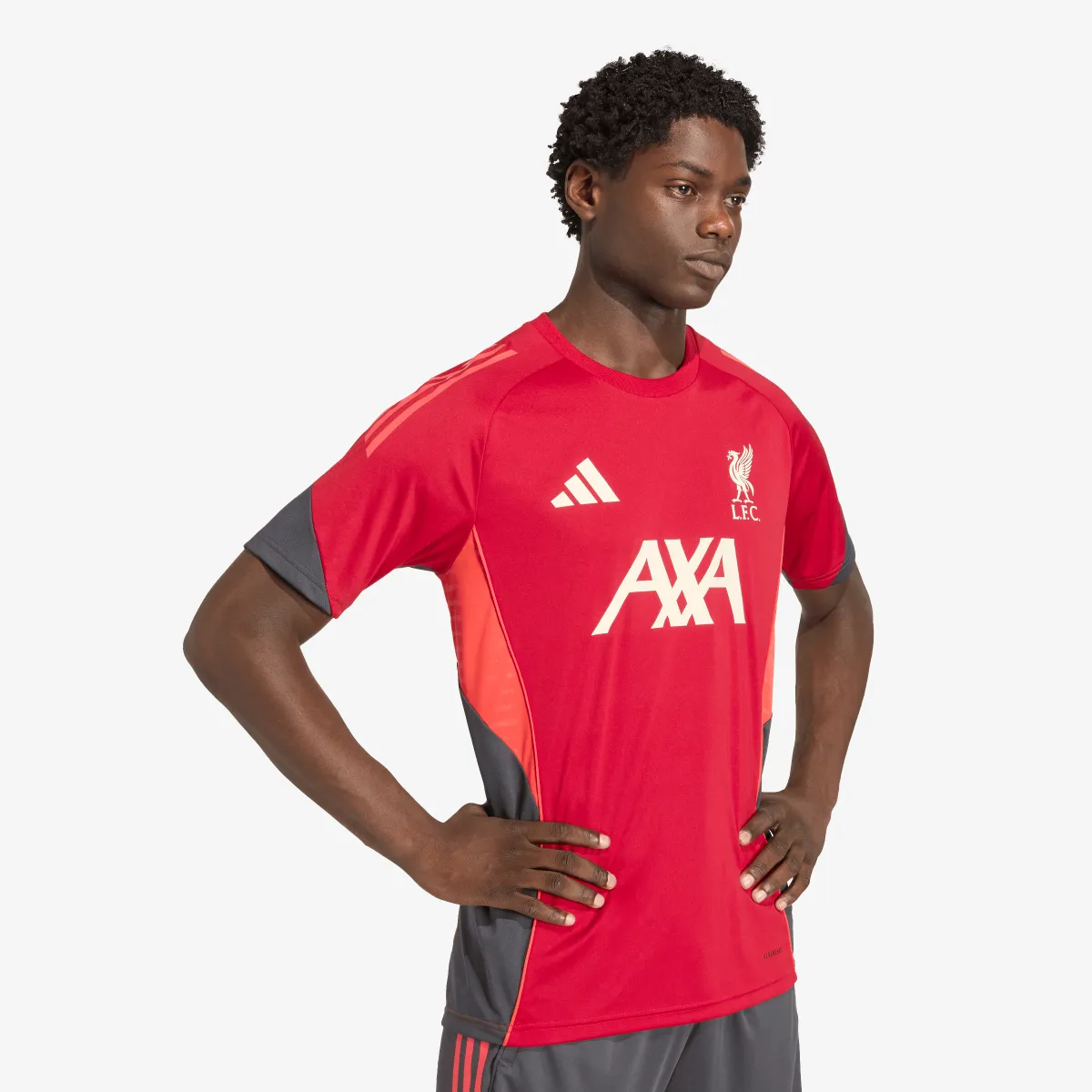 adidas Dres LFC TR JSY