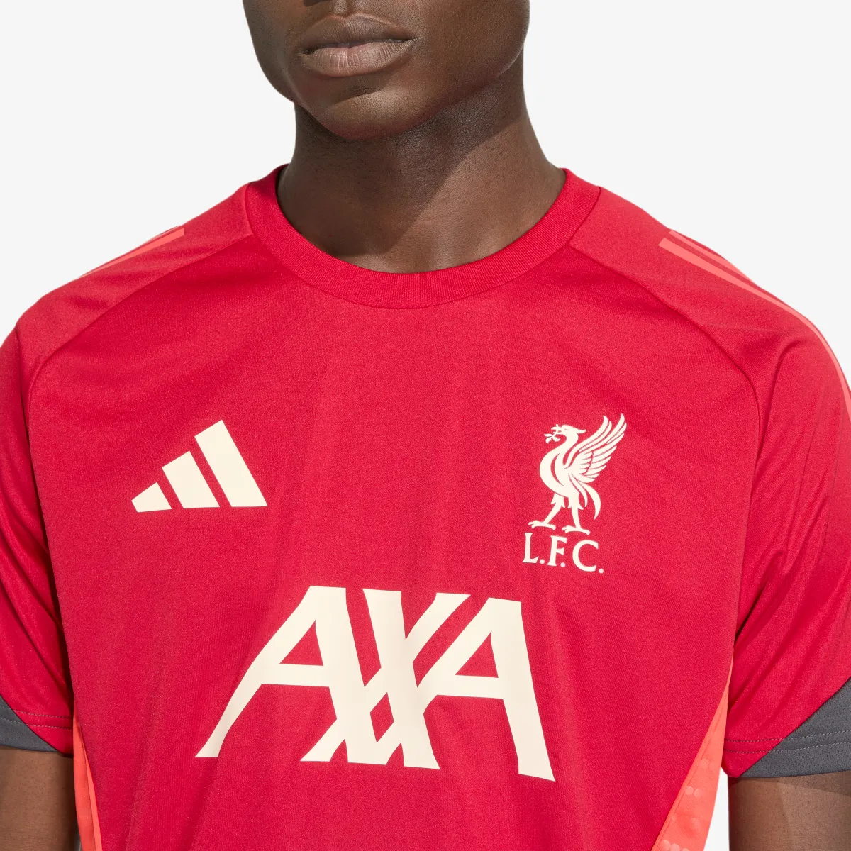 adidas Dres LFC TR JSY