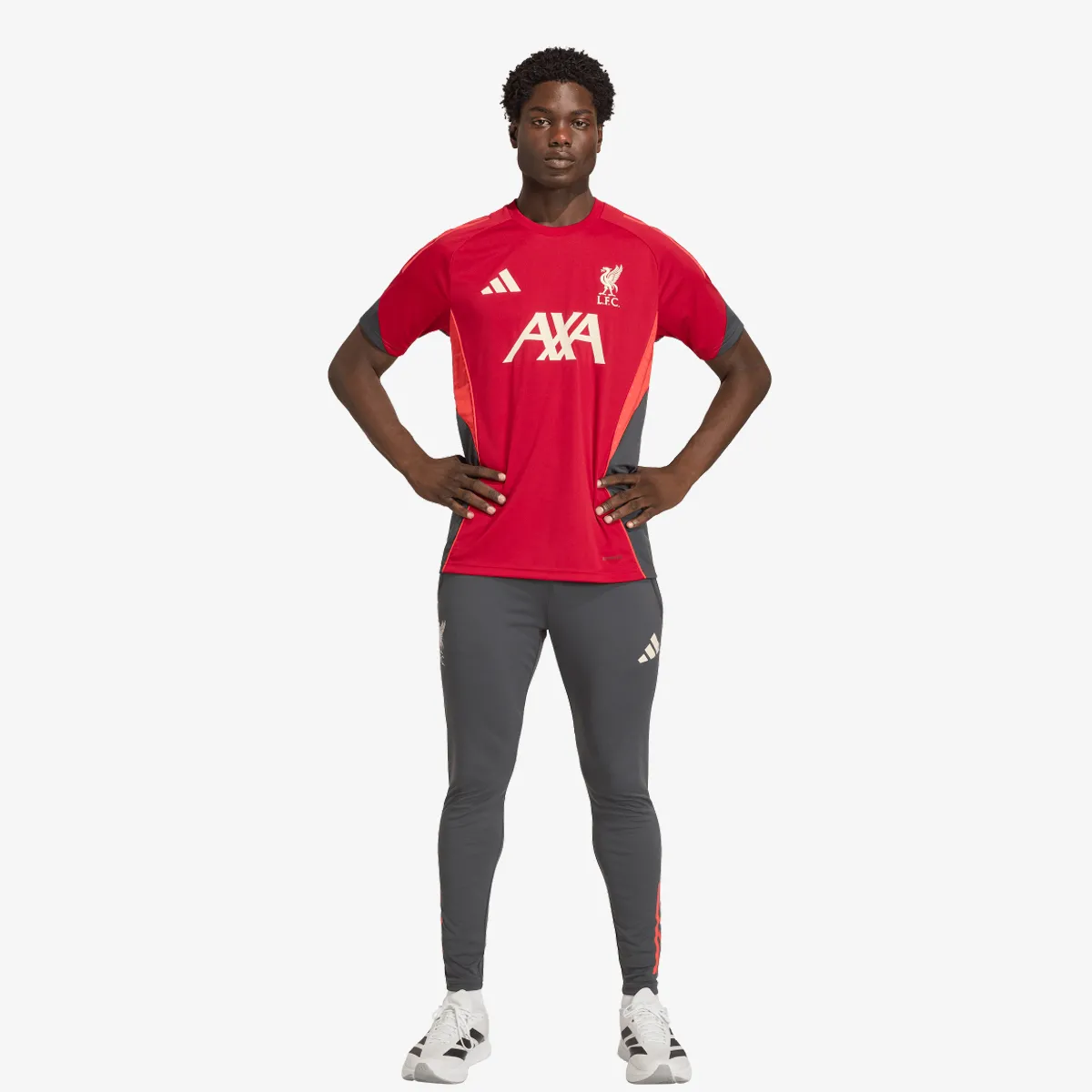 adidas Donji dio trenerke LFC TR PNT 