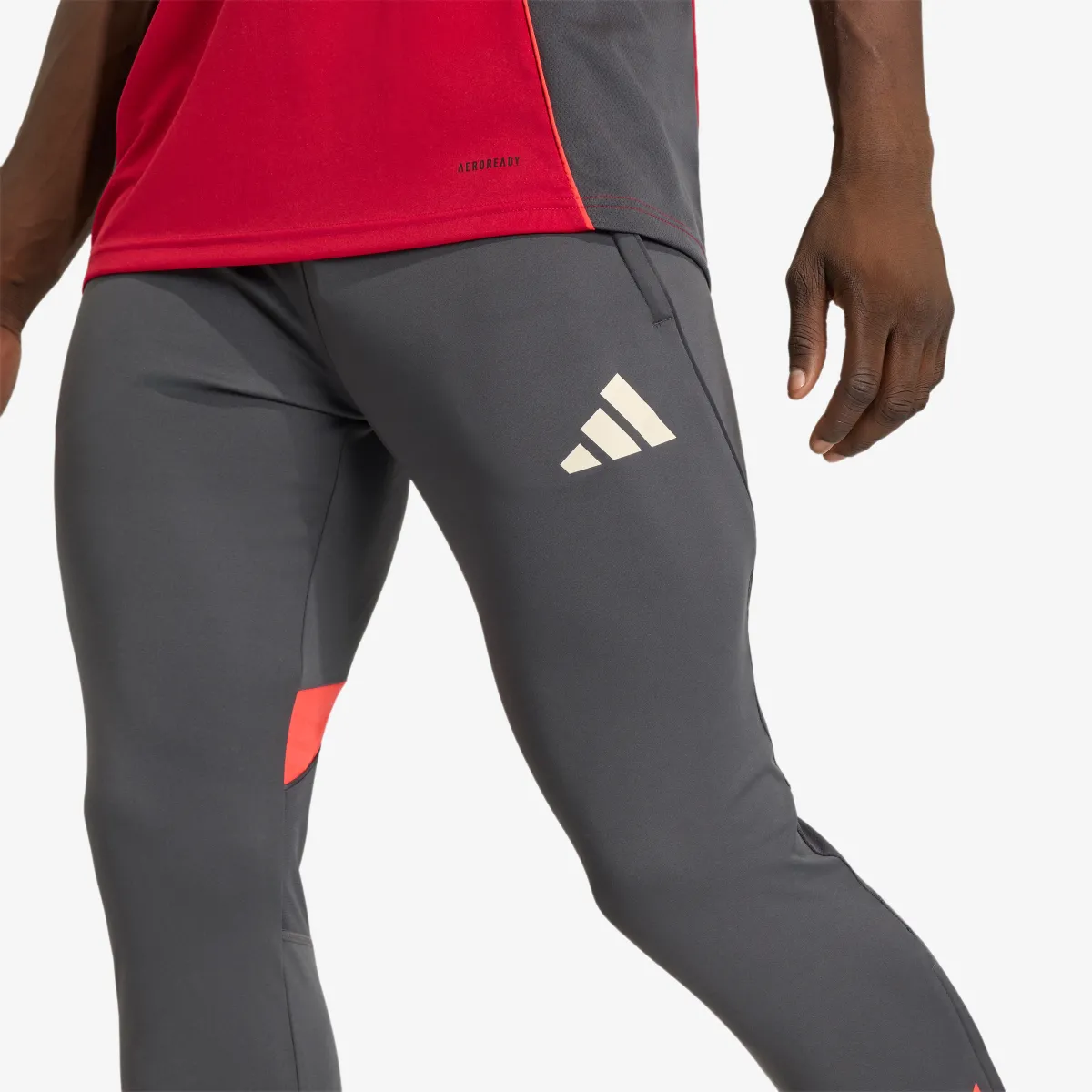 adidas Donji dio trenerke LFC TR PNT 