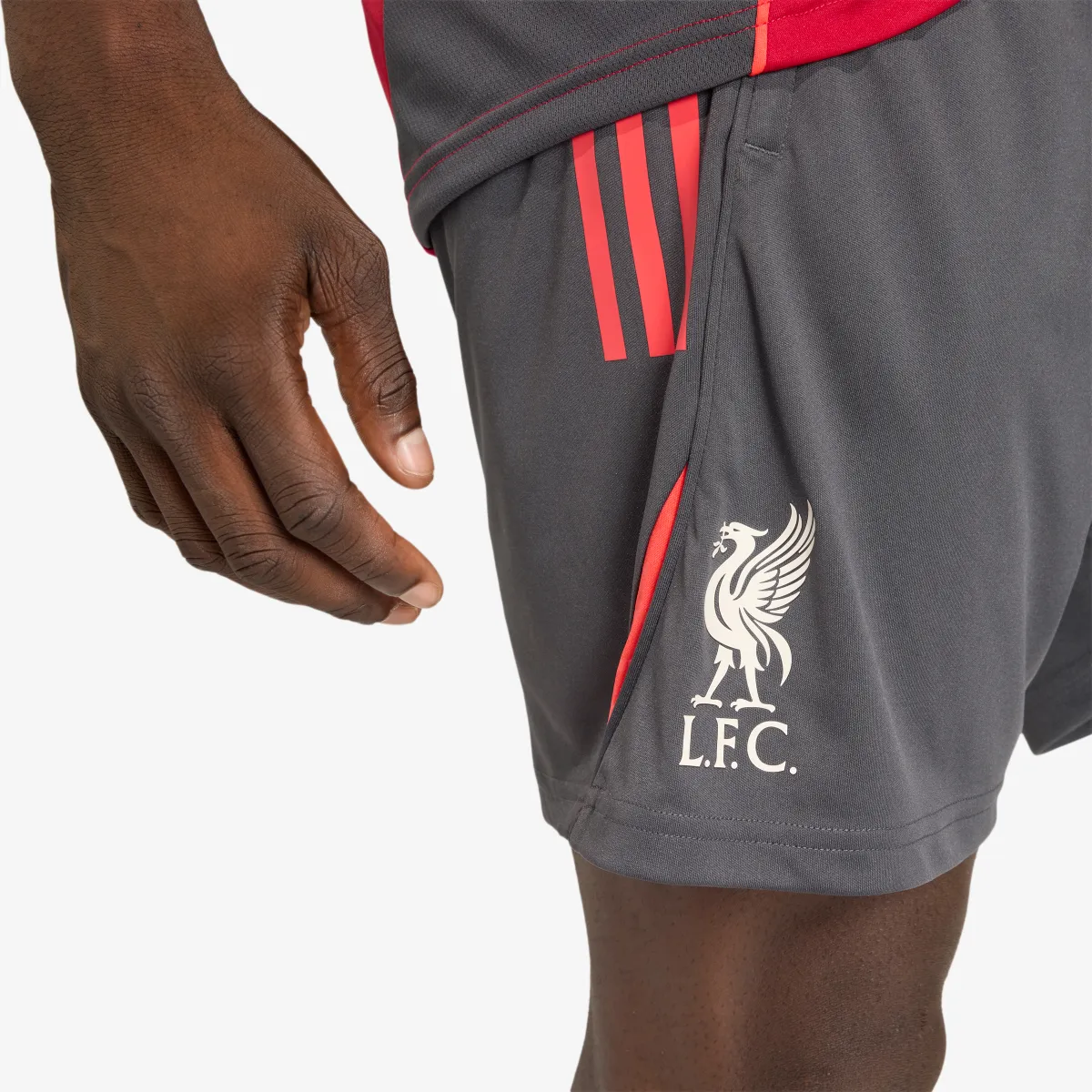 adidas Šorc LFC TR SHO