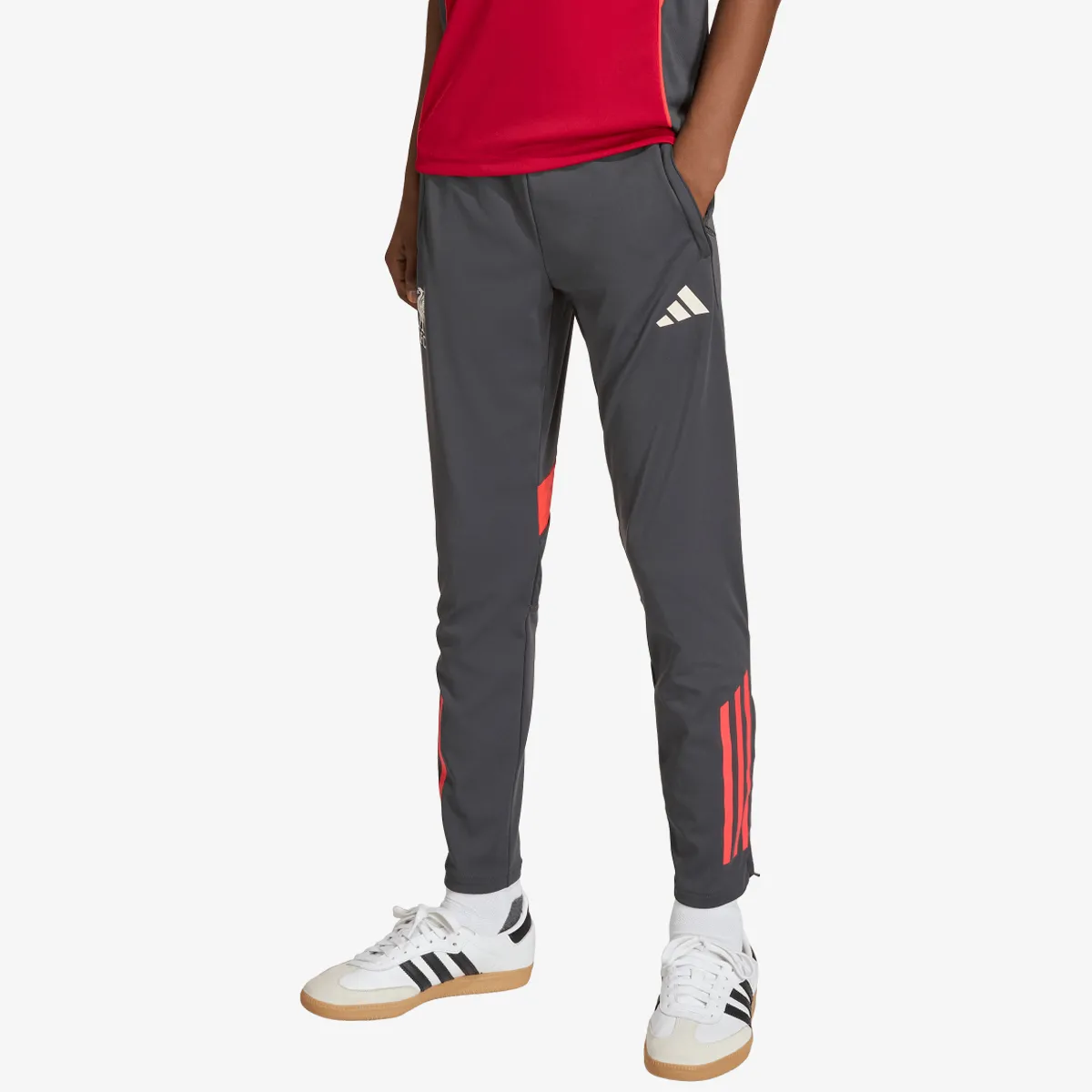 adidas Donji dio trenerke LFC TR PNT Y