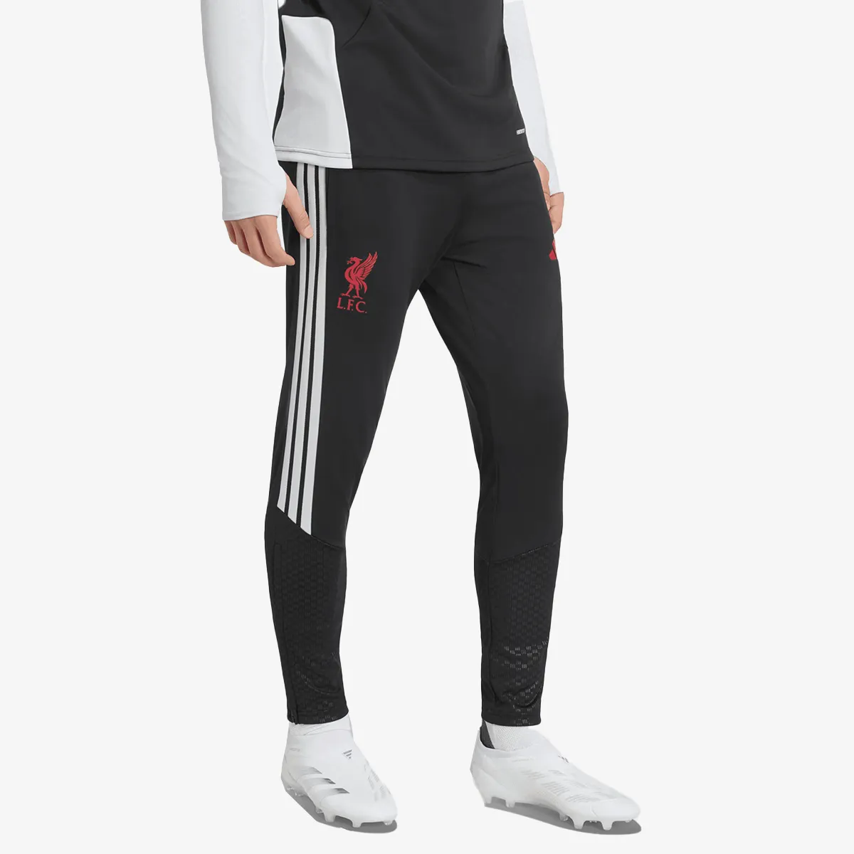 adidas Donji dio trenerke LFC TR PNT 