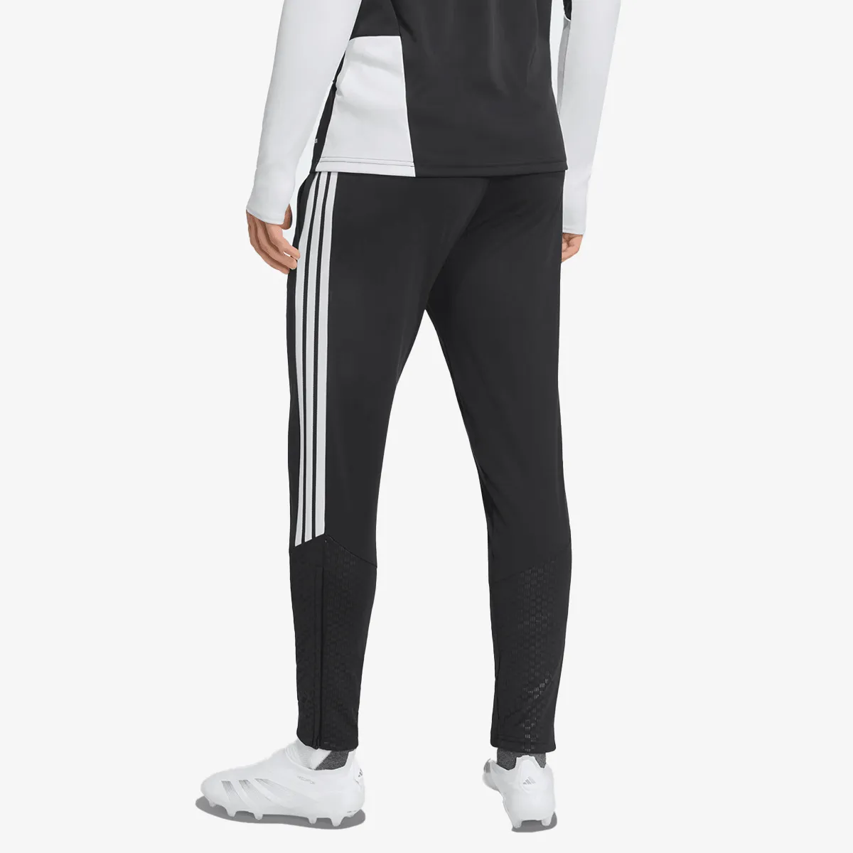 adidas Donji dio trenerke LFC TR PNT 