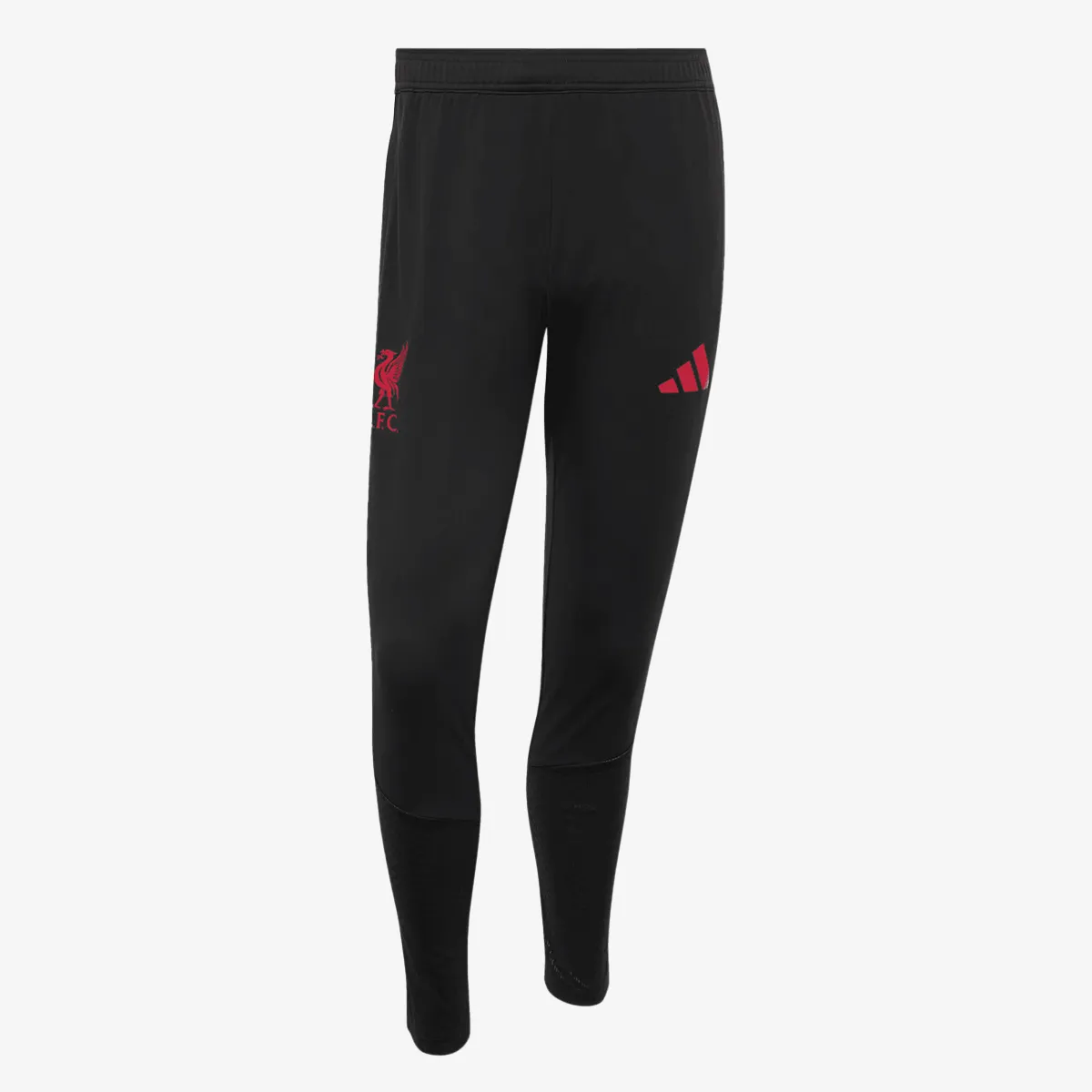 adidas Donji dio trenerke LFC TR PNT 