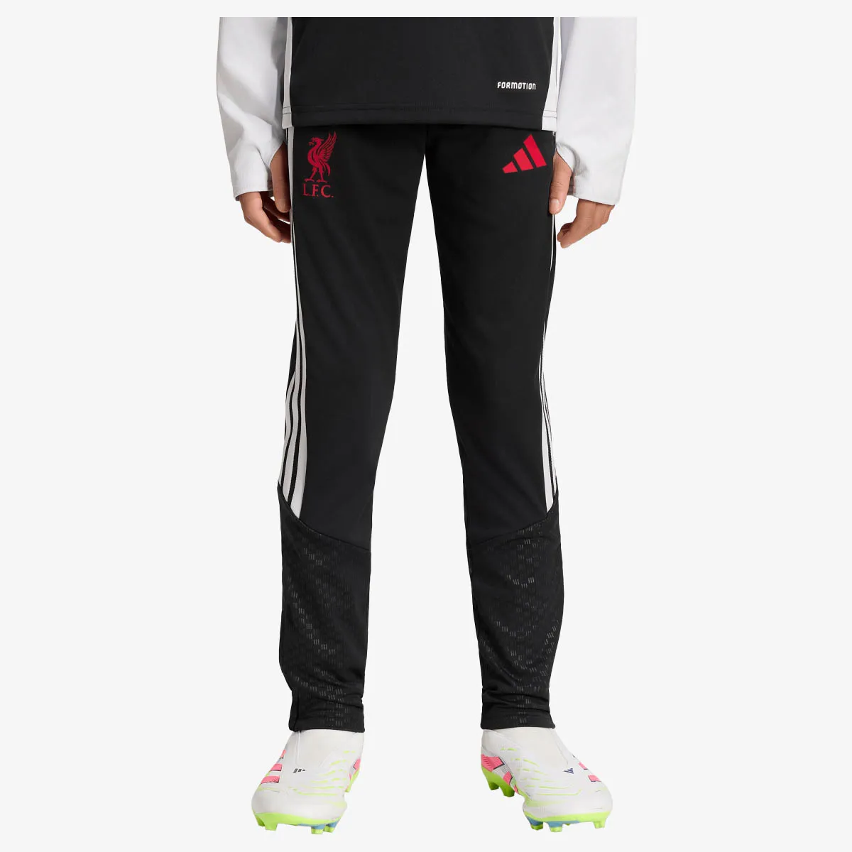 adidas Donji dio trenerke LFC TR PNTY