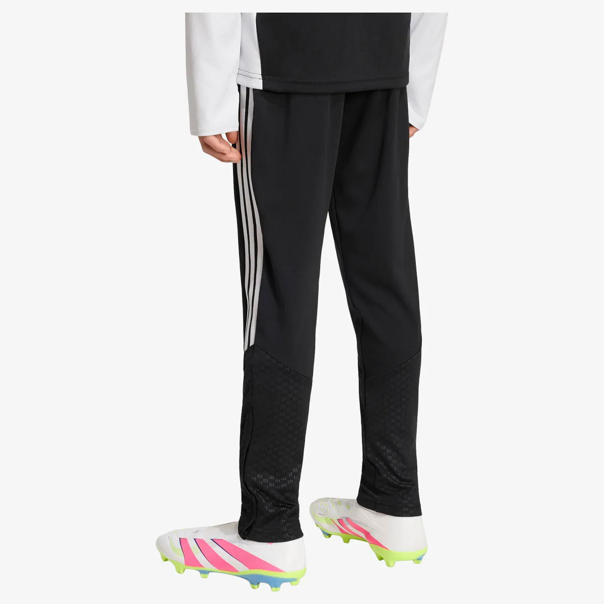 adidas Donji dio trenerke LFC TR PNTY