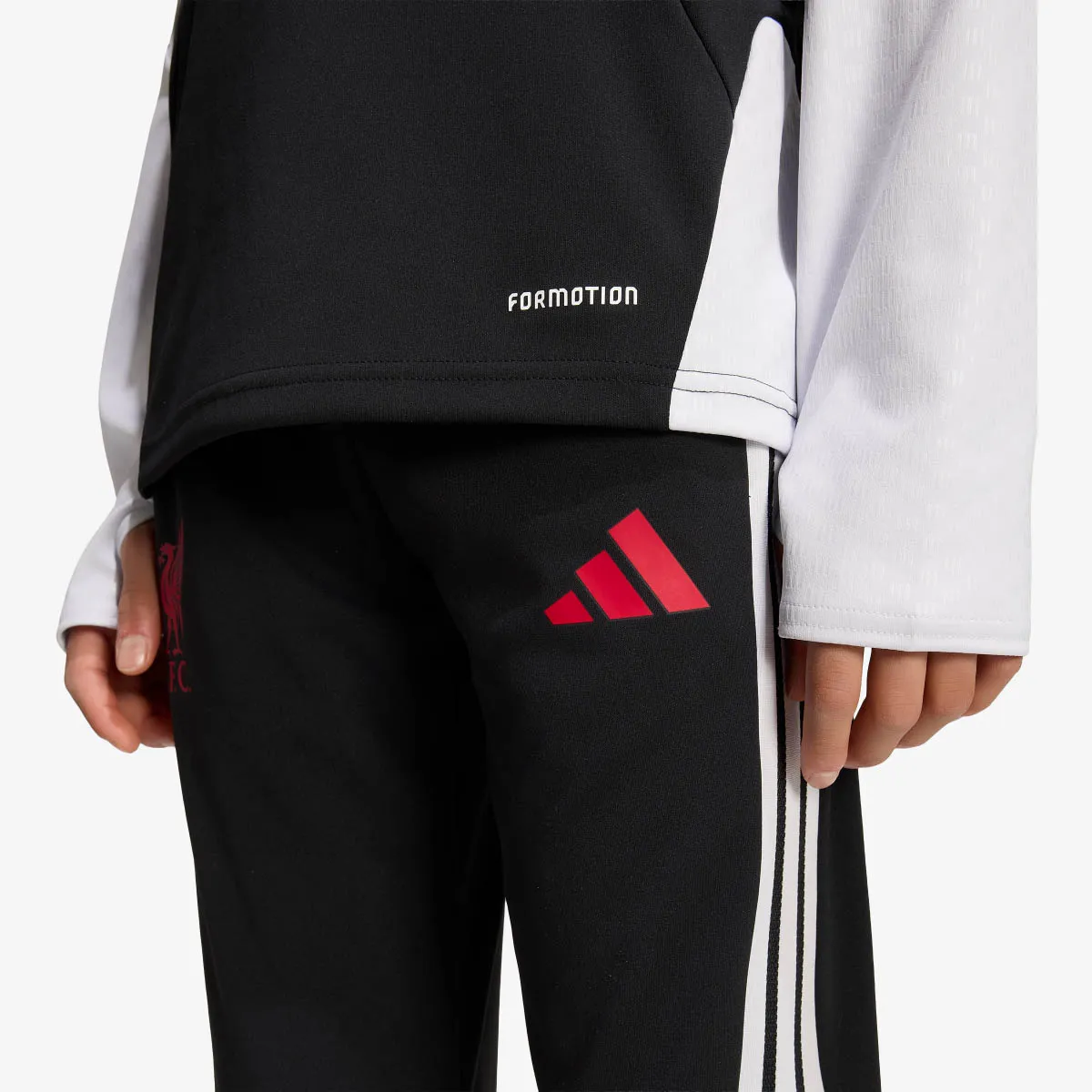 adidas Donji dio trenerke LFC TR PNTY