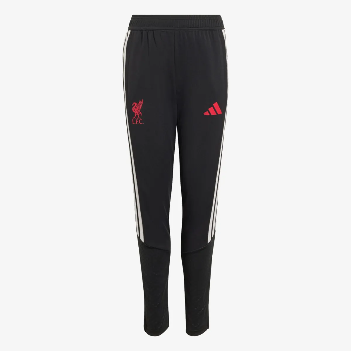 adidas Donji dio trenerke LFC TR PNTY