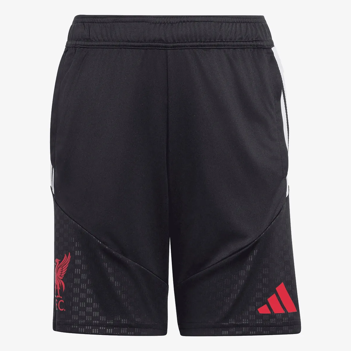 adidas Šorc LFC TR SHOY 