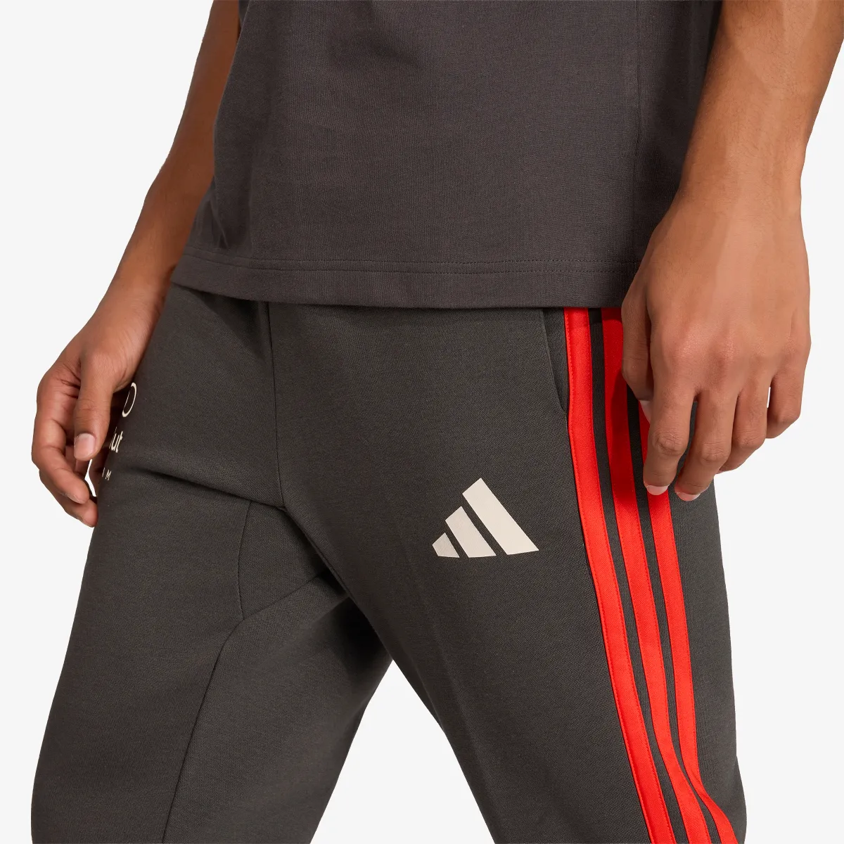 adidas Donji dio trenerke Audi Formula One Team DNA