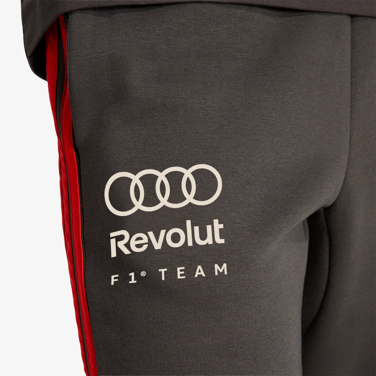 adidas Donji dio trenerke Audi Formula One Team DNA