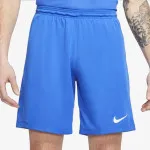 Nike Šorc Dri-FIT Park 3