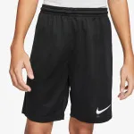 Nike Šorc Dri-FIT Park III