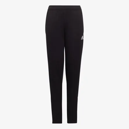 adidas Donji dio trenerke ENT22 TR PNT Y