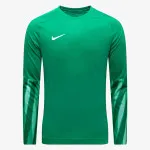Nike Majica dugih rukava M NK DF PARK V GK JSY LS