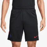 Nike Šorc PSG Strike 