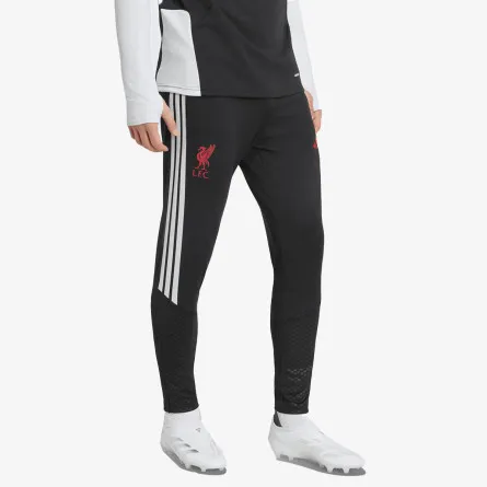adidas Donji dio trenerke LFC TR PNT