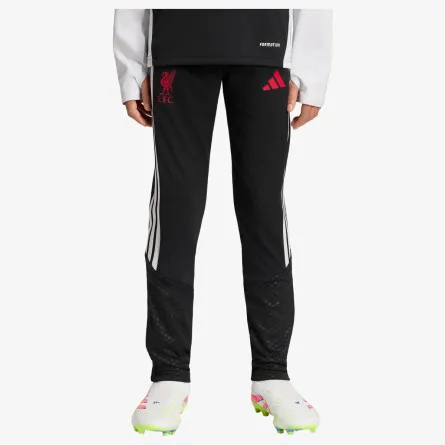 adidas Donji dio trenerke LFC TR PNTY