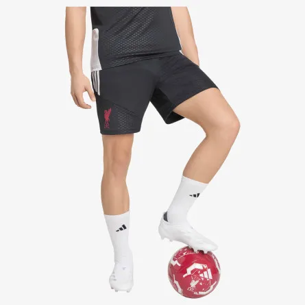 adidas Šorc LFC TR SHO 