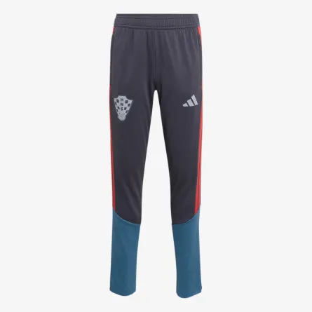 adidas Donji dio trenerke HNS TR PNTY